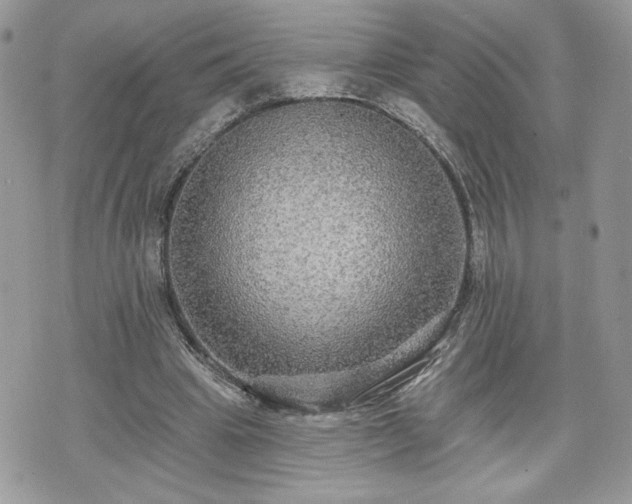 X0000070400441200606161349