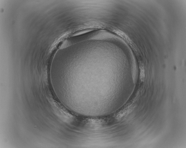 X0000070400442200606161349