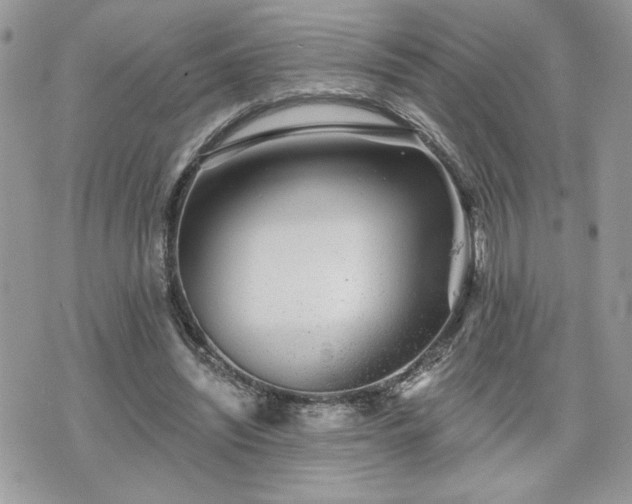 X0000070400444200606161349