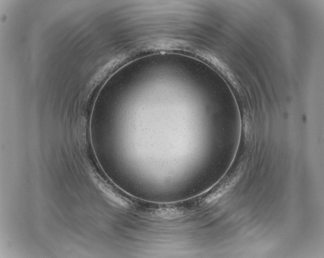 X0000070400445200606161349