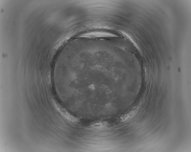 X0000070400447200606161350