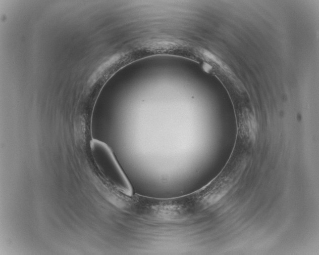 X0000070400448200606161350