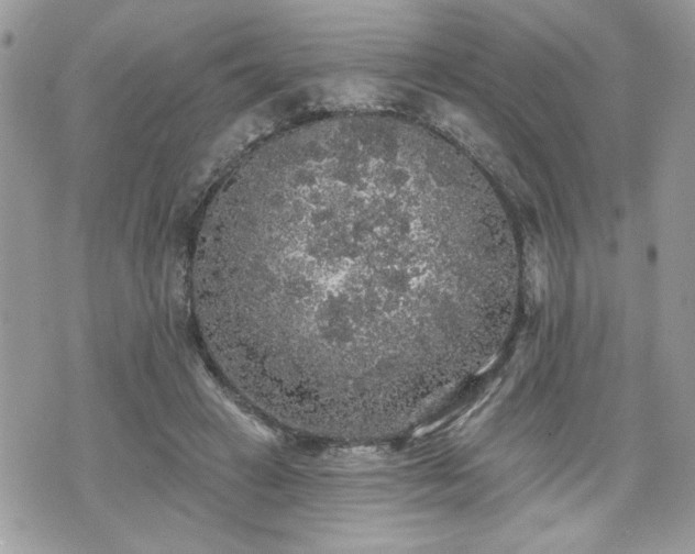 X0000070400449200606161350