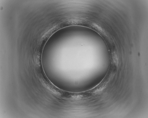 X0000070400450200606161350