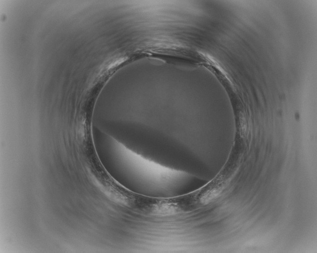 X0000070400451200606161350