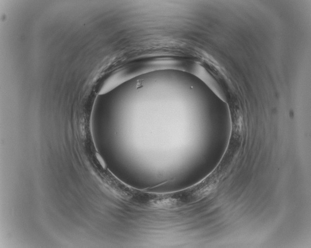 X0000070400452200606161350