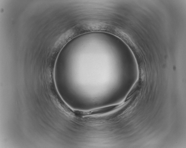 X0000070400453200606161350