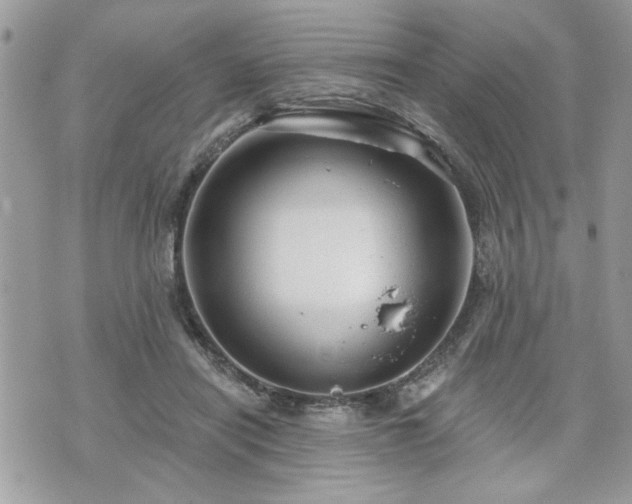 X0000070400454200606161350