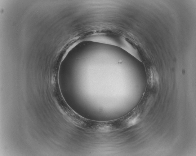 X0000070400456200606161350