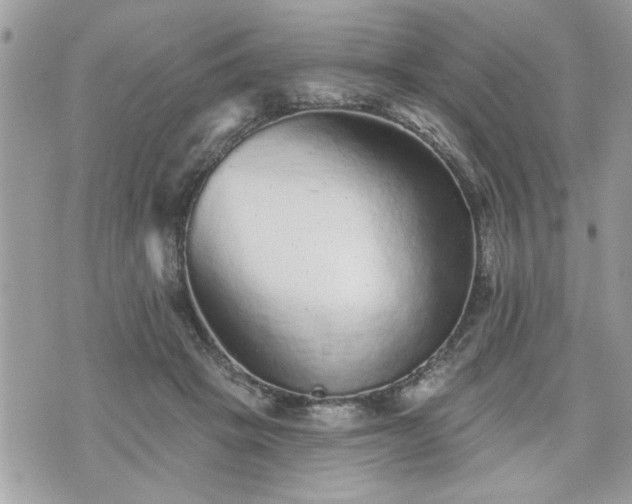 X0000070400457200606161350