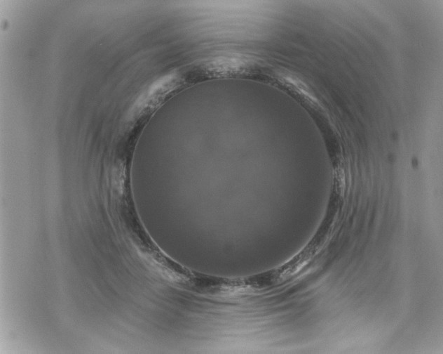 X0000070400458200606161350