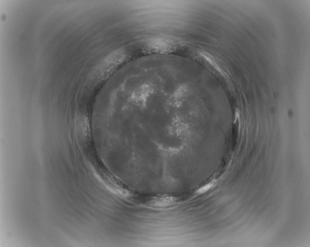 X0000070400459200606161350