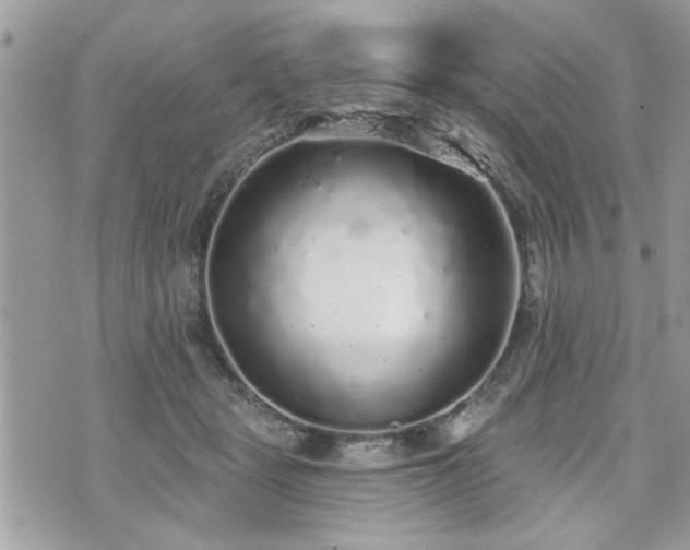 X0000070400461200606161350