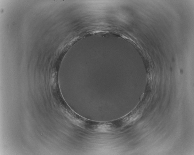 X0000070400462200606161350