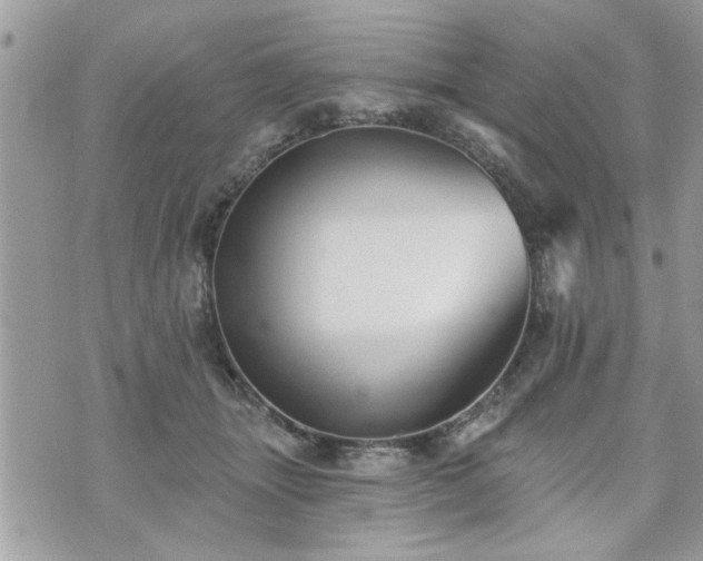 X0000070400463200606161350