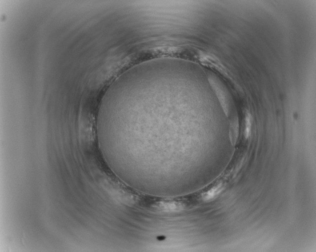 X0000070400464200606161350