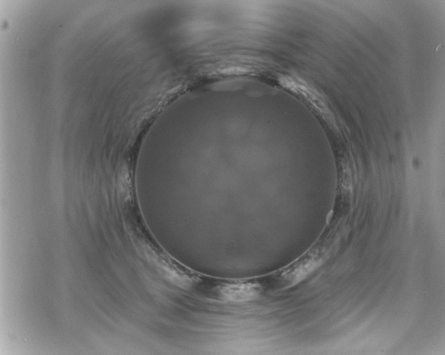 X0000070400465200606161350