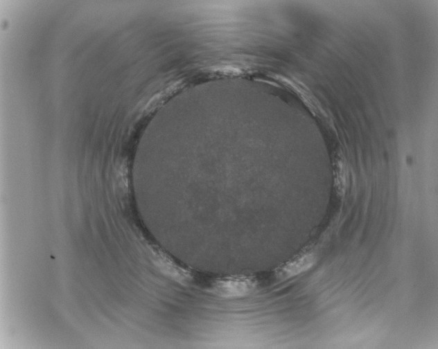 X0000070400466200606161350