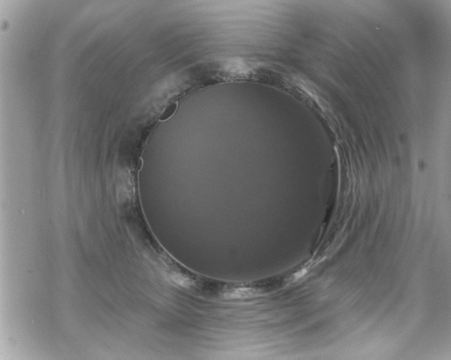 X0000070400467200606161350