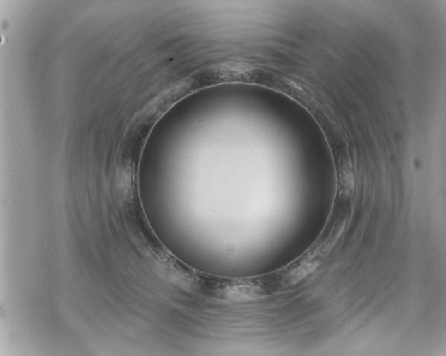 X0000070400468200606161350