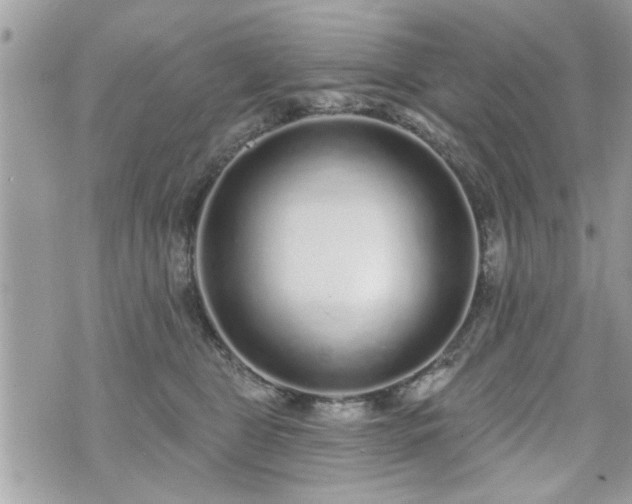 X0000070400469200606161350