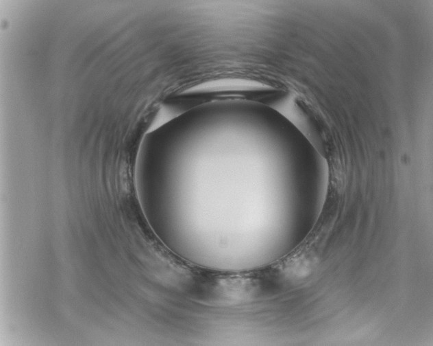 X0000070400470200606161350