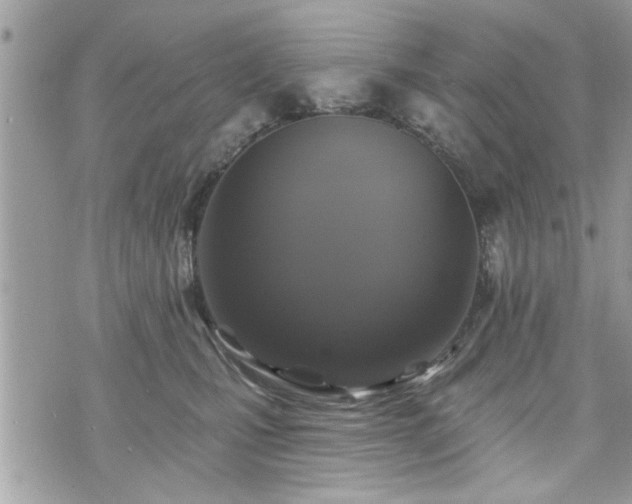 X0000070400471200606161350