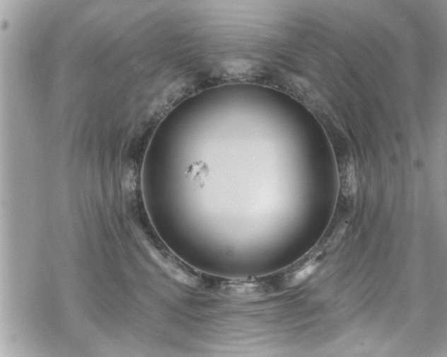 X0000070400472200606161350