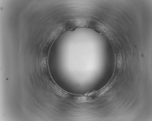 X0000070400473200606161350