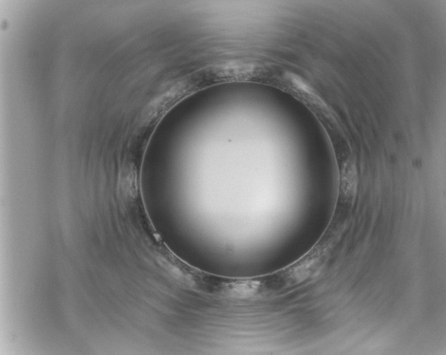 X0000070400474200606161350