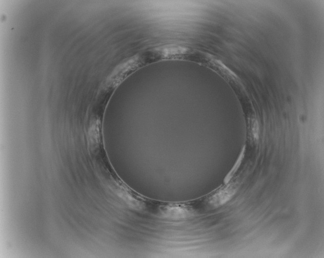 X0000070400475200606161350