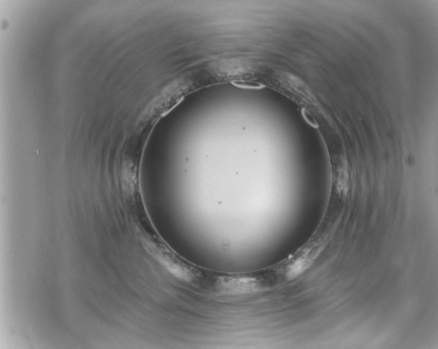 X0000070400476200606161350