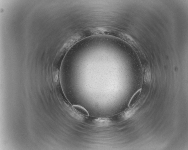 X0000070400477200606161350