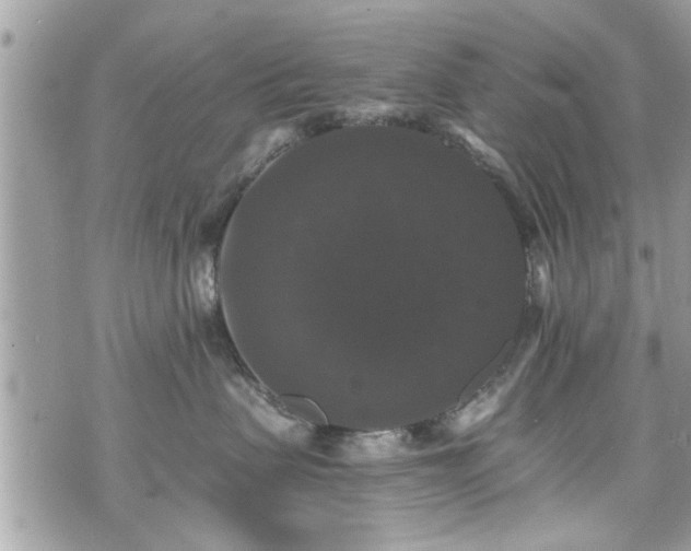 X0000070400479200606161350