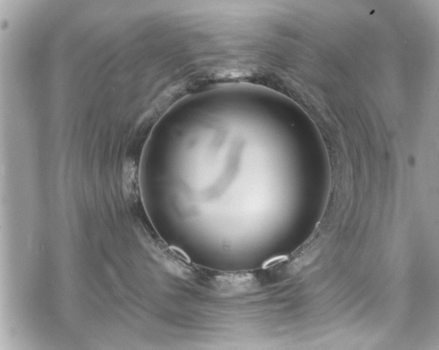 X0000070400480200606161350