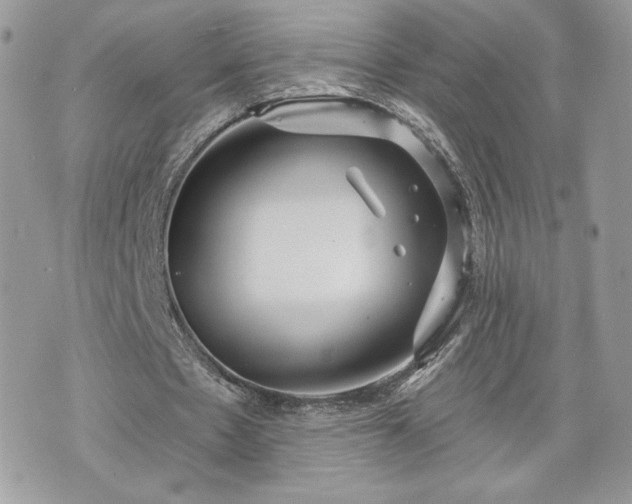 X0000070400481200606161349