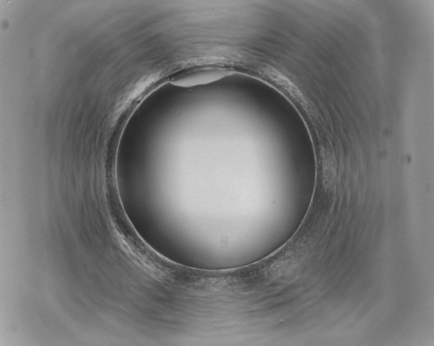 X0000070400482200606161349