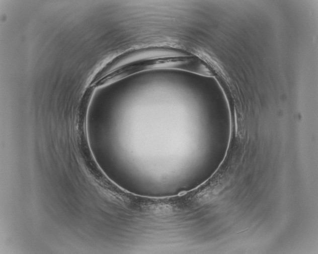 X0000070400483200606161349