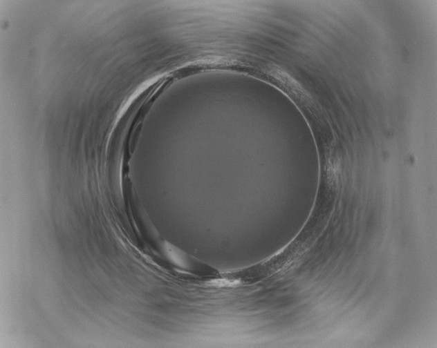 X0000070400484200606161349