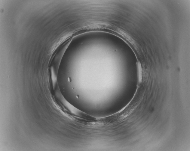 X0000070400485200606161349