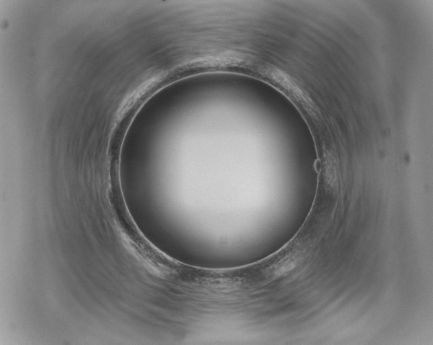 X0000070400486200606161349