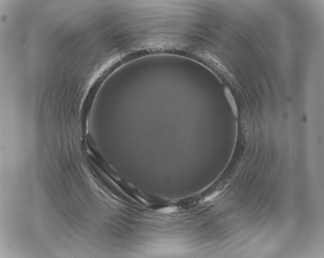 X0000070400488200606161349