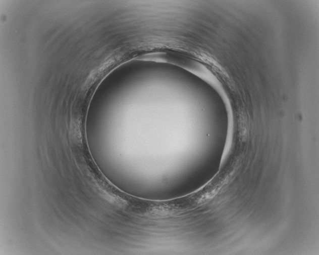 X0000070400489200606161349