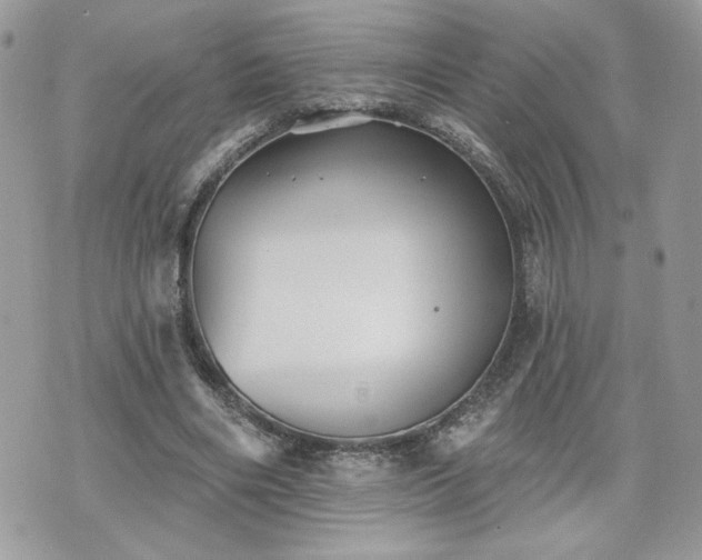 X0000070400490200606161349