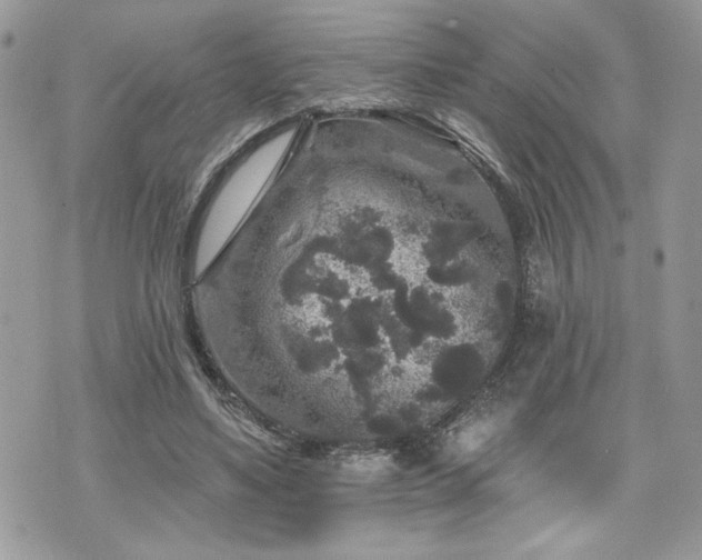 X0000070400491200606161349