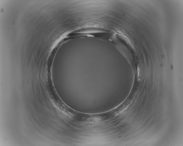 X0000070400492200606161349