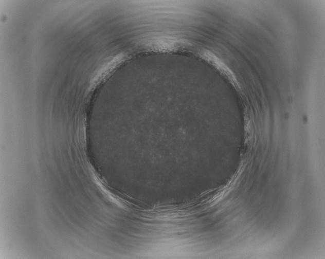 X0000070400493200606161349