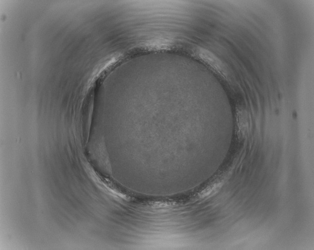 X0000070400494200606161349