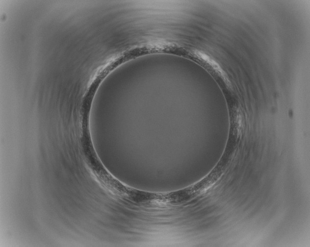 X0000070400496200606161349