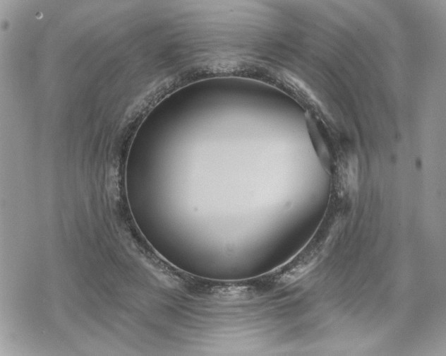 X0000070400497200606161349